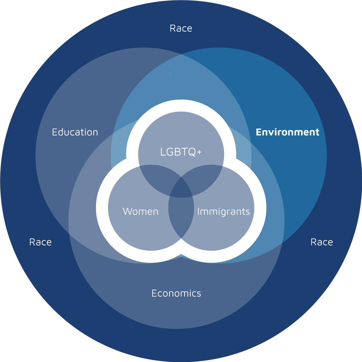 A chart of overlapping justice issues, focused on